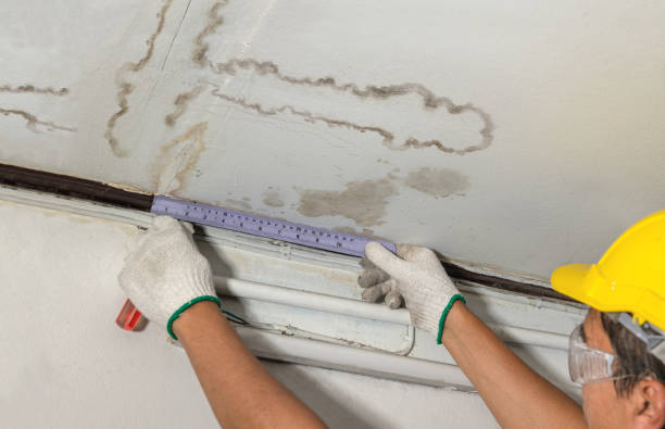 Reliable Water Damage contractor in Fallbrook, CA by Water Damage Irwin